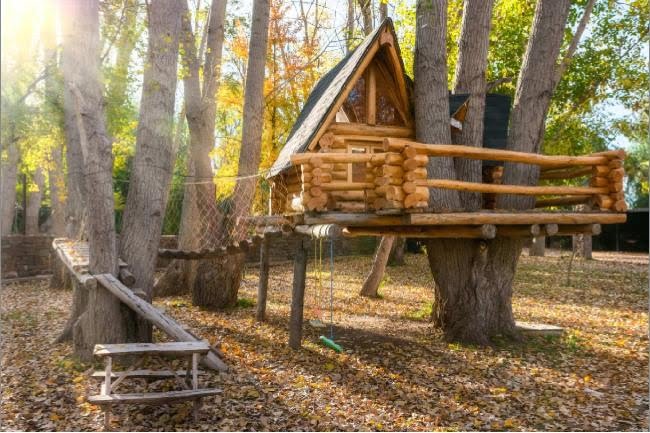 Treehouse building for Adults