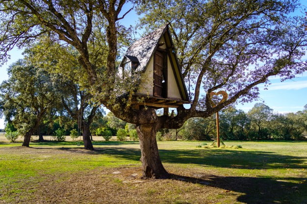 best Treehouse Kits for Adults